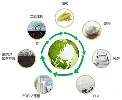 厦门长塑生物基膜材实现量产 关键技术突破引领全球