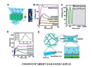 青岛能源所开发生物基纳米纤维气凝胶发电器件 推动生物基材料销售新浪潮